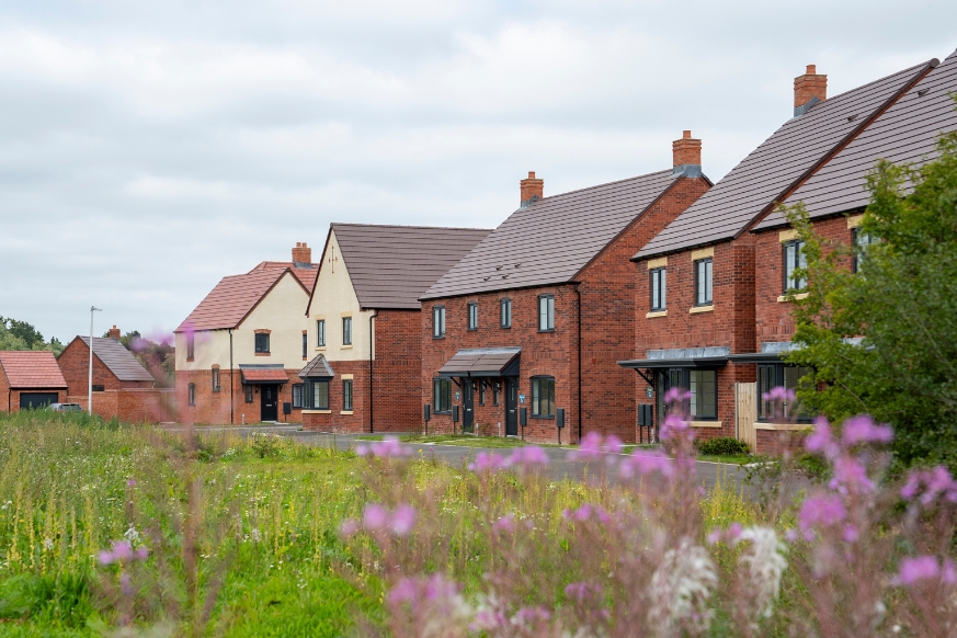 Street view of Callows Rise development