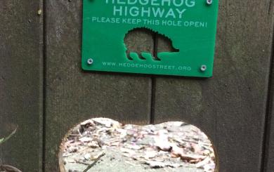 Sign stating please keep this hole open for hedgehog highway located above a cut out hole in the wooden fence