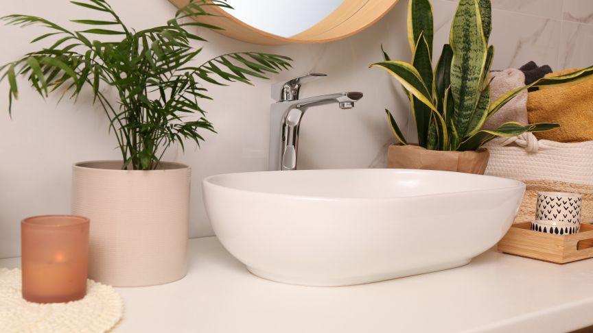 A white oval sink surrounded by potted plants in a bathroom