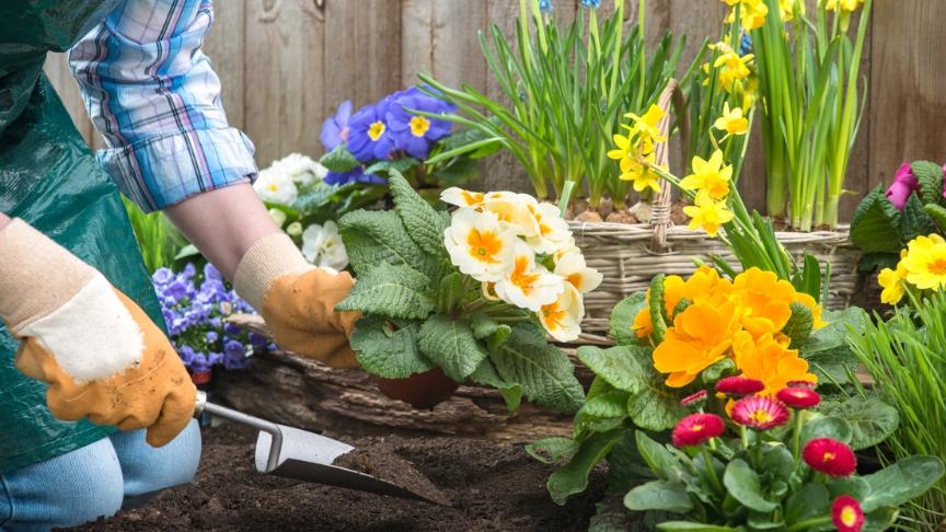 A person kneeling next to a flower bed wearing gardening gloves and planting an array of colourful flowers