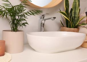 A white oval sink surrounded by potted plants in a bathroom