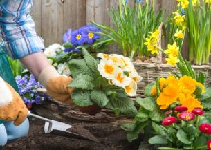 A person kneeling next to a flower bed wearing gardening gloves and planting an array of colourful flowers